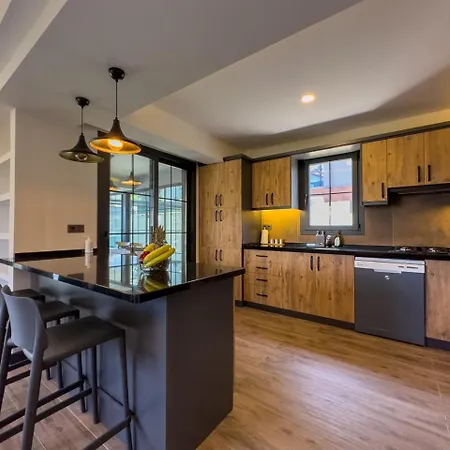 Pirlanta Villas Βίλα Φετιγιέ